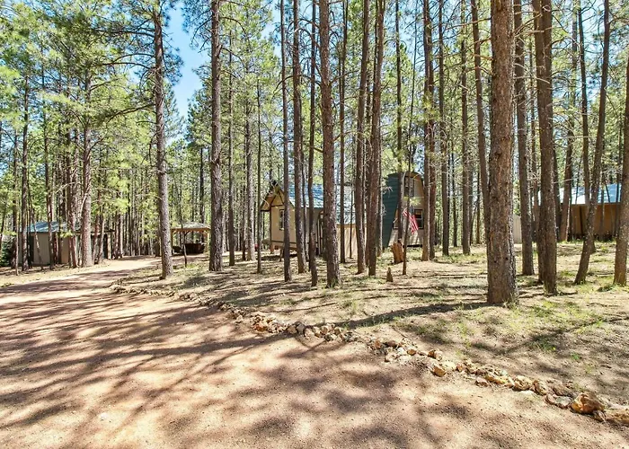 Near Trails: Forest Retreat W/ Backyard Oasis Forest Lakes Estates