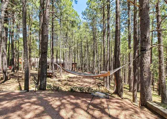 Holiday home Near Trails: Forest Retreat W/ Backyard Oasis *
